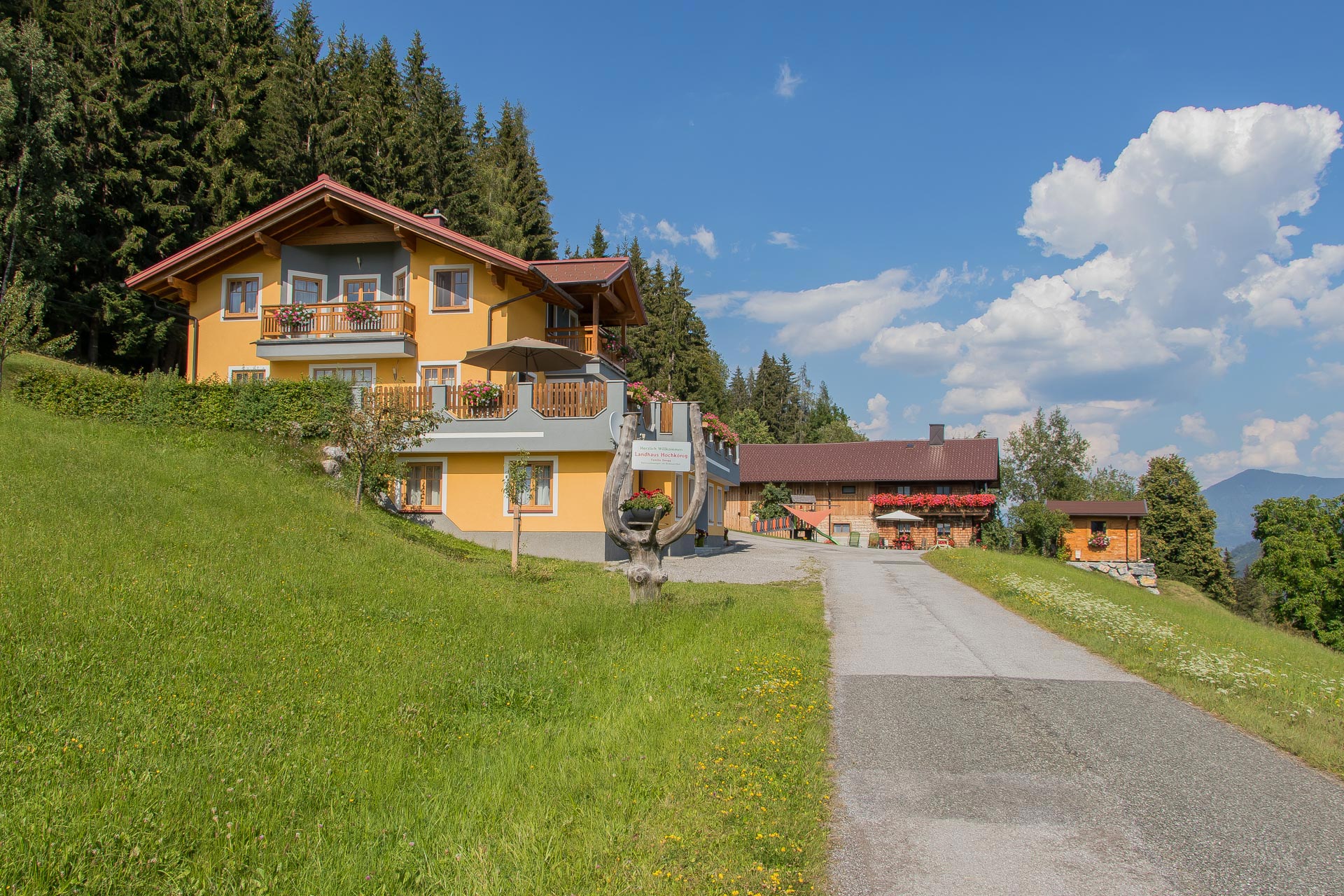 Landhaus Hochkoenig Ferienwohnung Sommer 1447